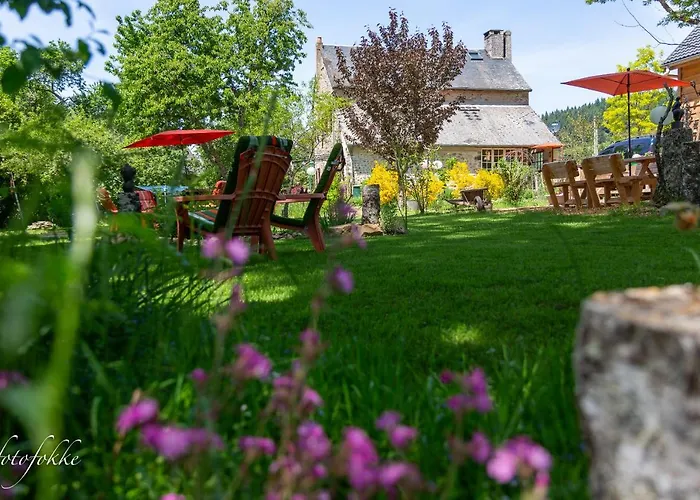 Haute Dône, een vakantiehuis met 2 slaapkamers, rust en natuur